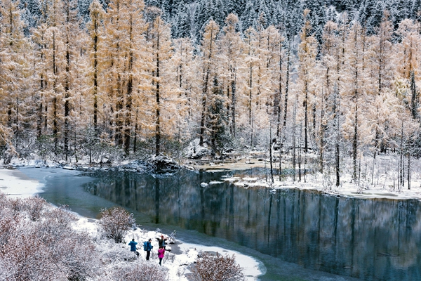 20181229_155719_052.jpg